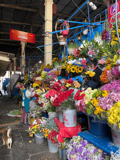 flowers from market in Peru 