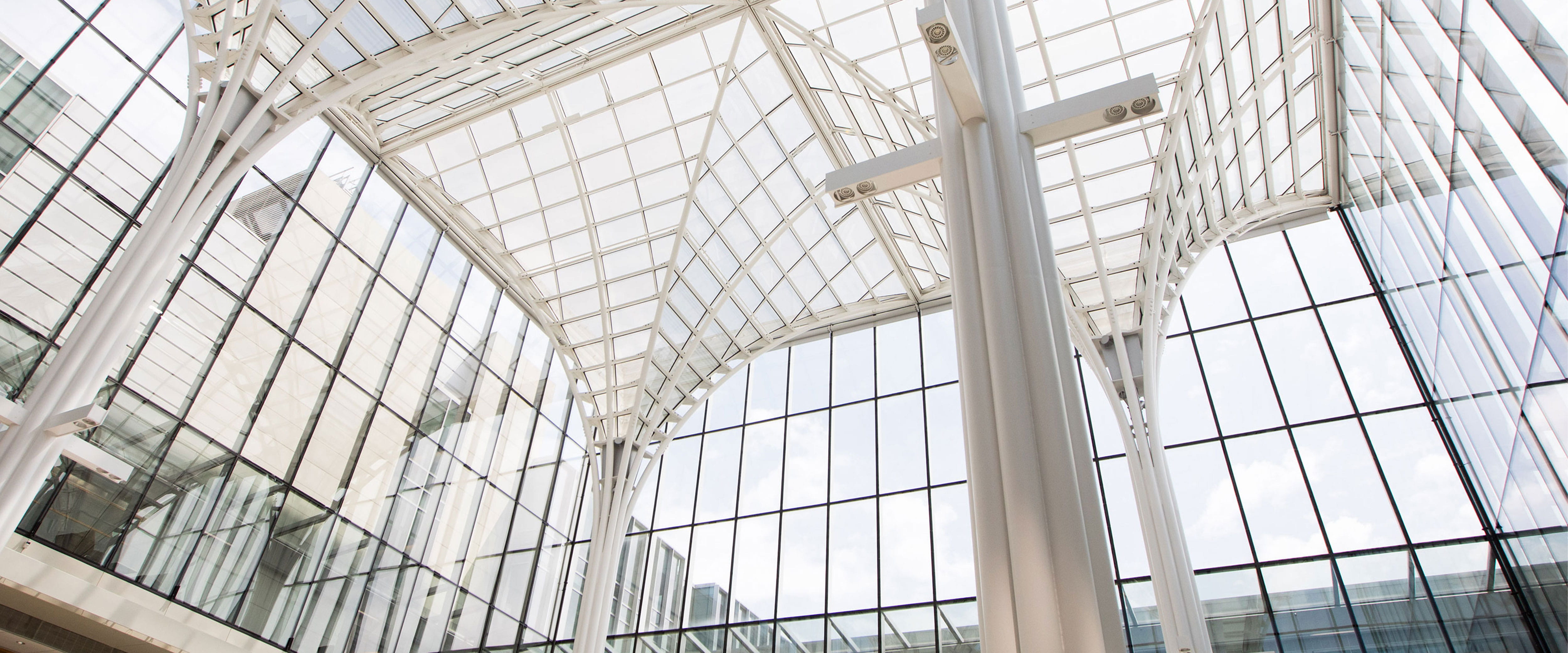 Harper Center ceiling view from the Winter Gardens