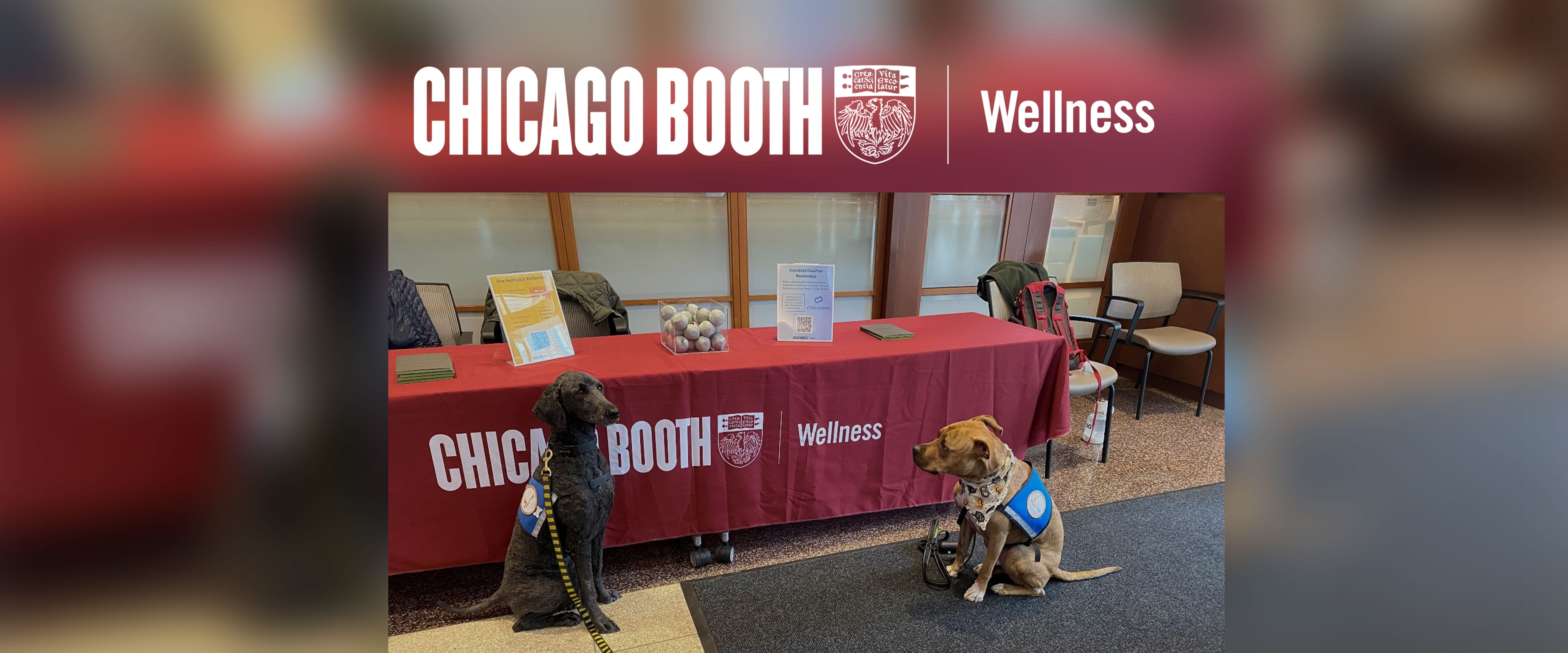 Booth Wellness table banner with two dogs in front of table