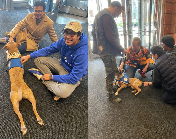 Students petting and posing with dogs at the Gleacher Center