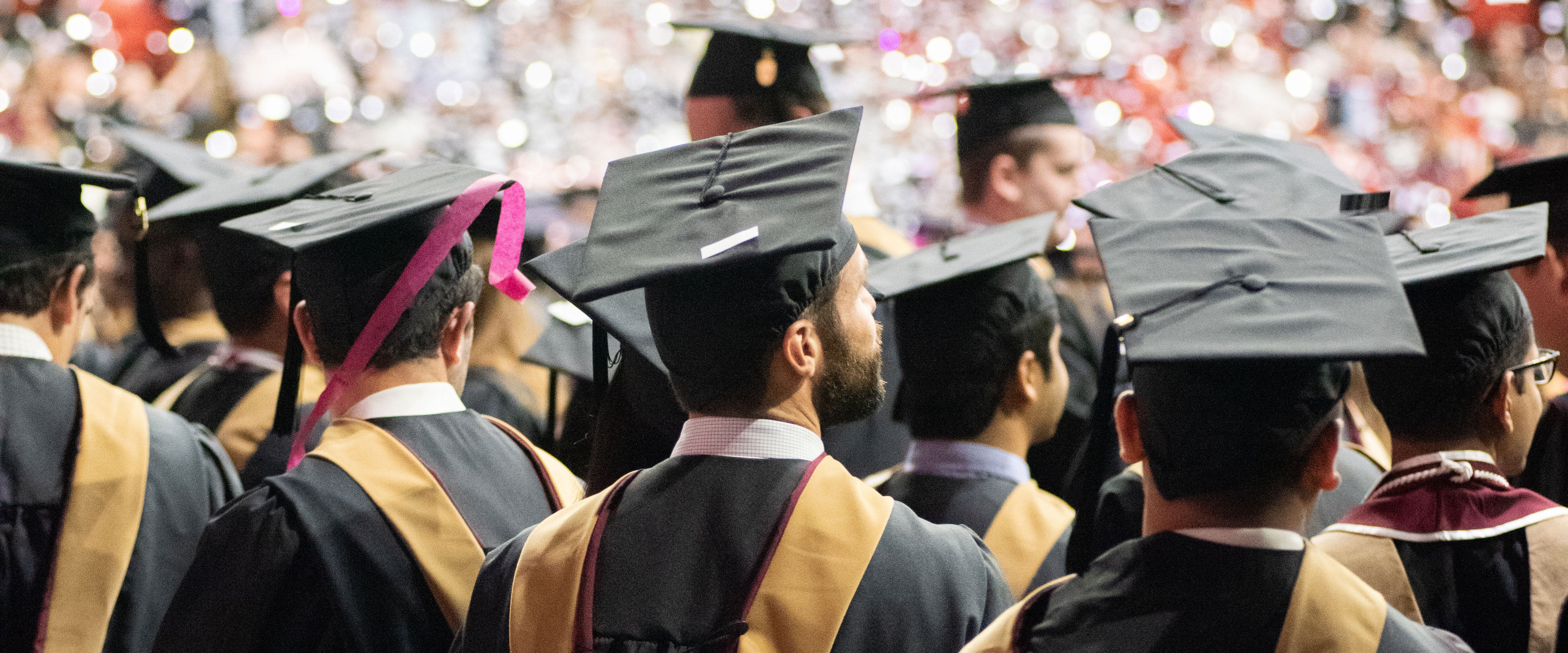 Booth graduates in their caps and gowns with back facing camera