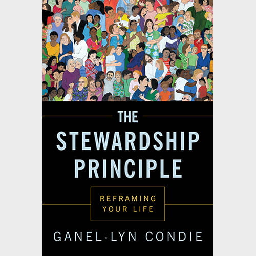The Stewardship Principle book cover