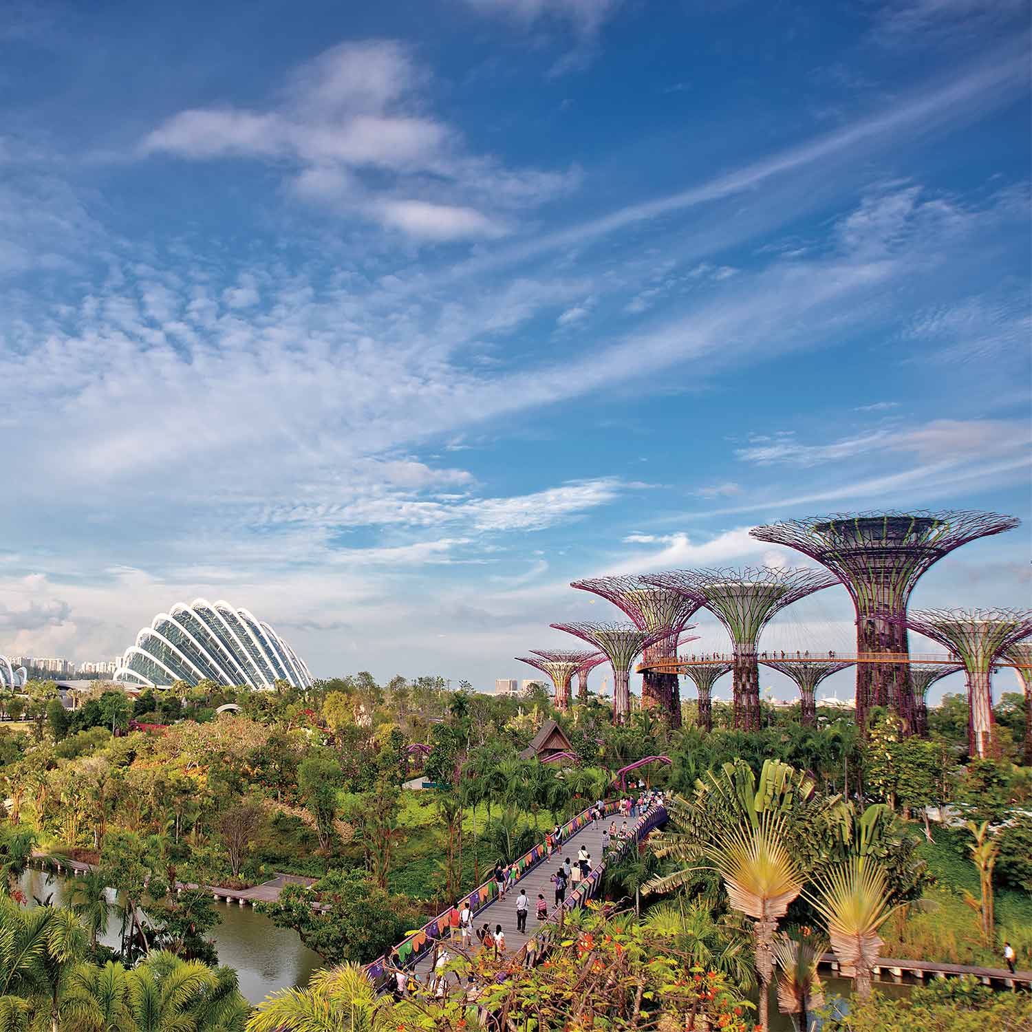 Fall 2015 Conversations The View From Singapore Gardens By The Bay