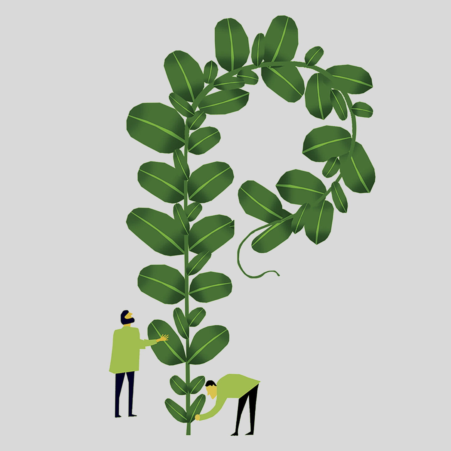 Planting Illustration