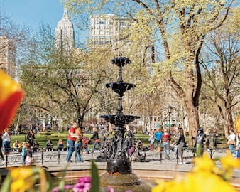 New York Madison Square Park Photo