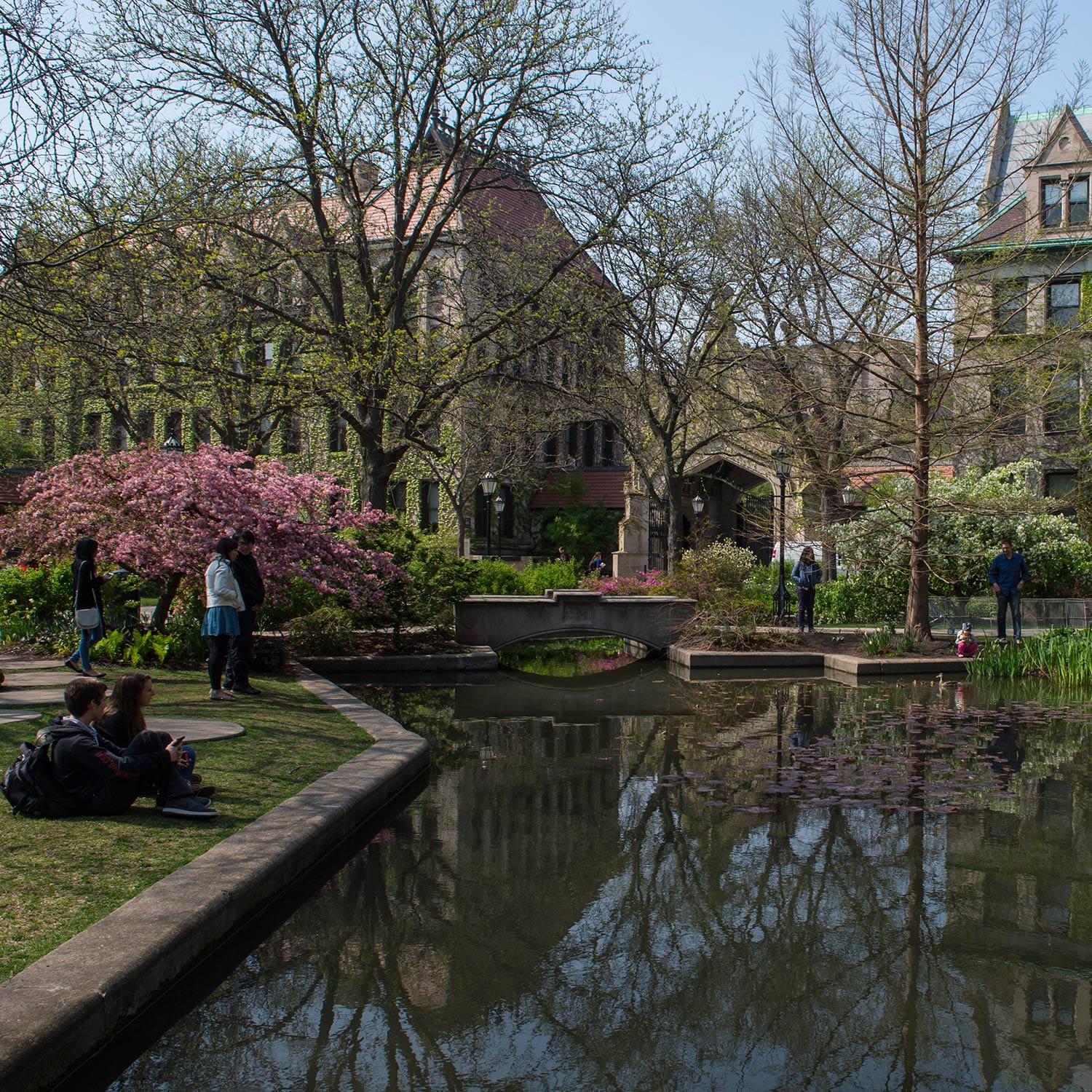 Online Exclusives Botany Pond