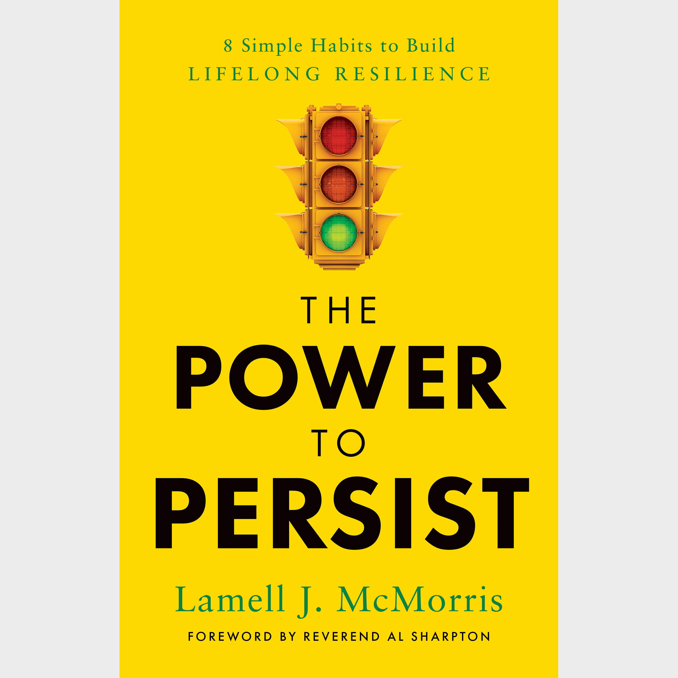 Book Cover The Power to Persist 