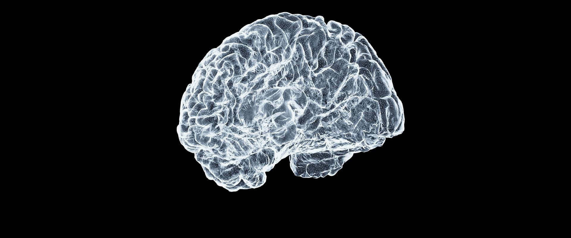 Behavioral Science - Center for Applied Artificial Intelligence ...