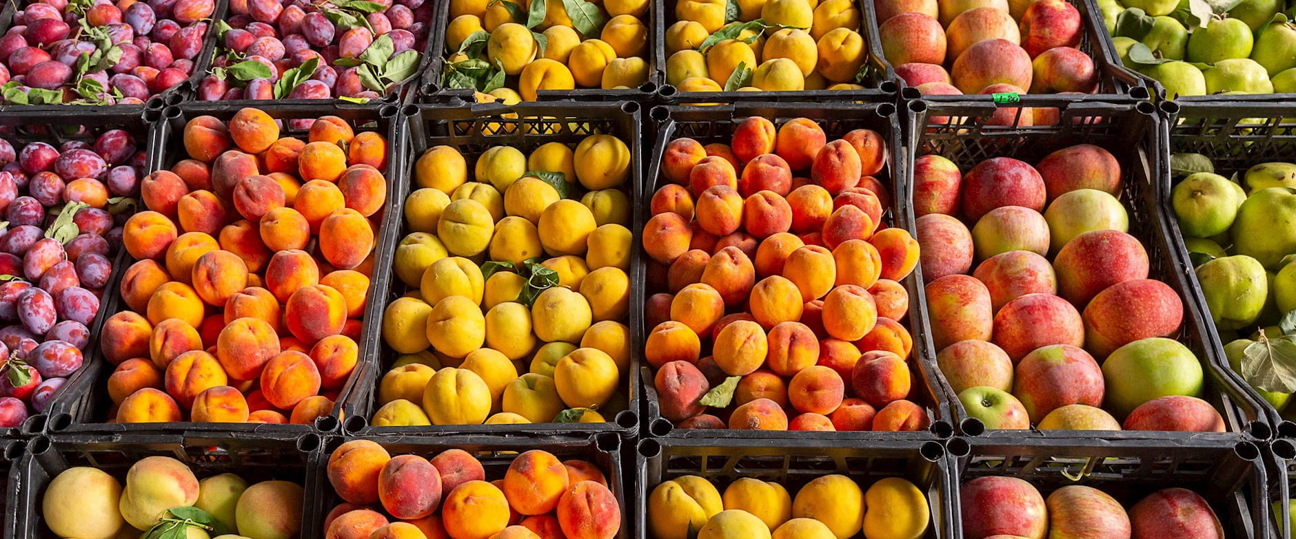 High angle shot of various fruits in bins at a market