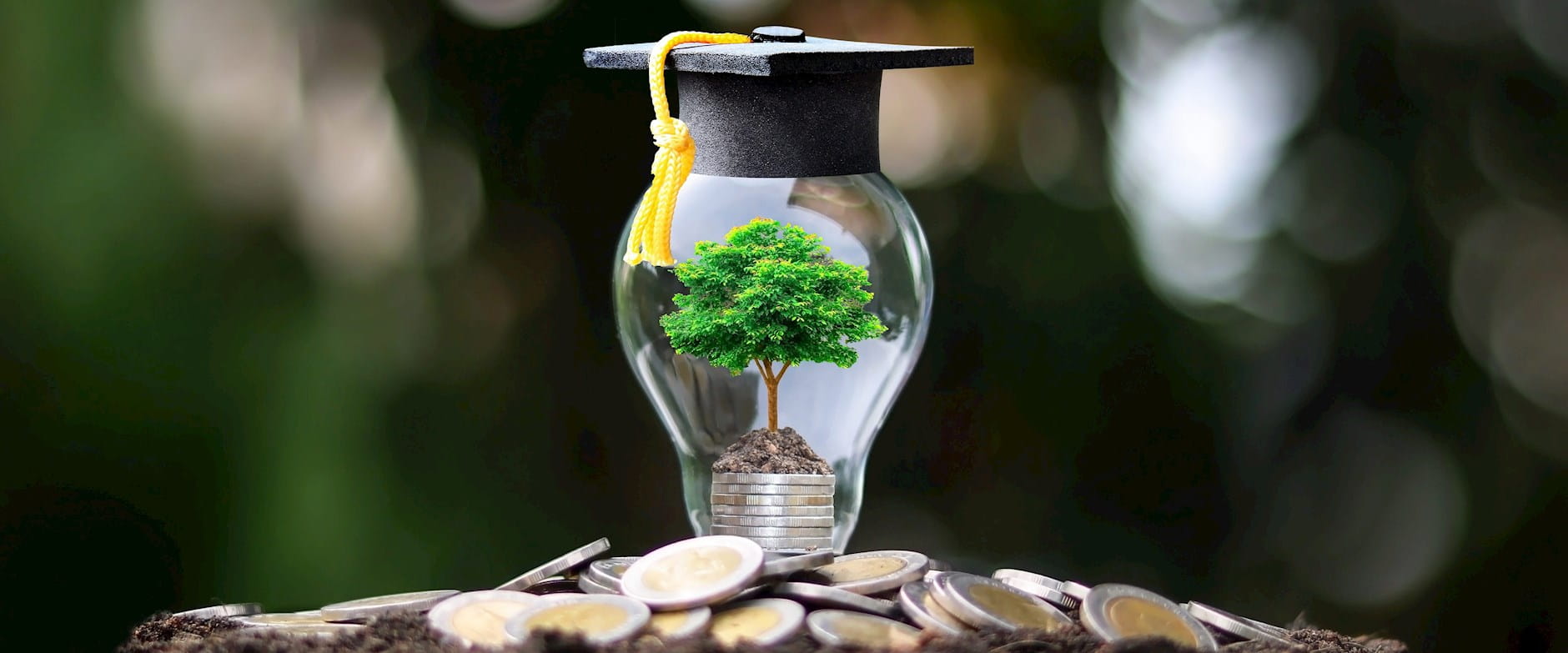 A very green tree grows inside a lightbulb atop a pile of coins; the lightbulb is topped with a graduation cap