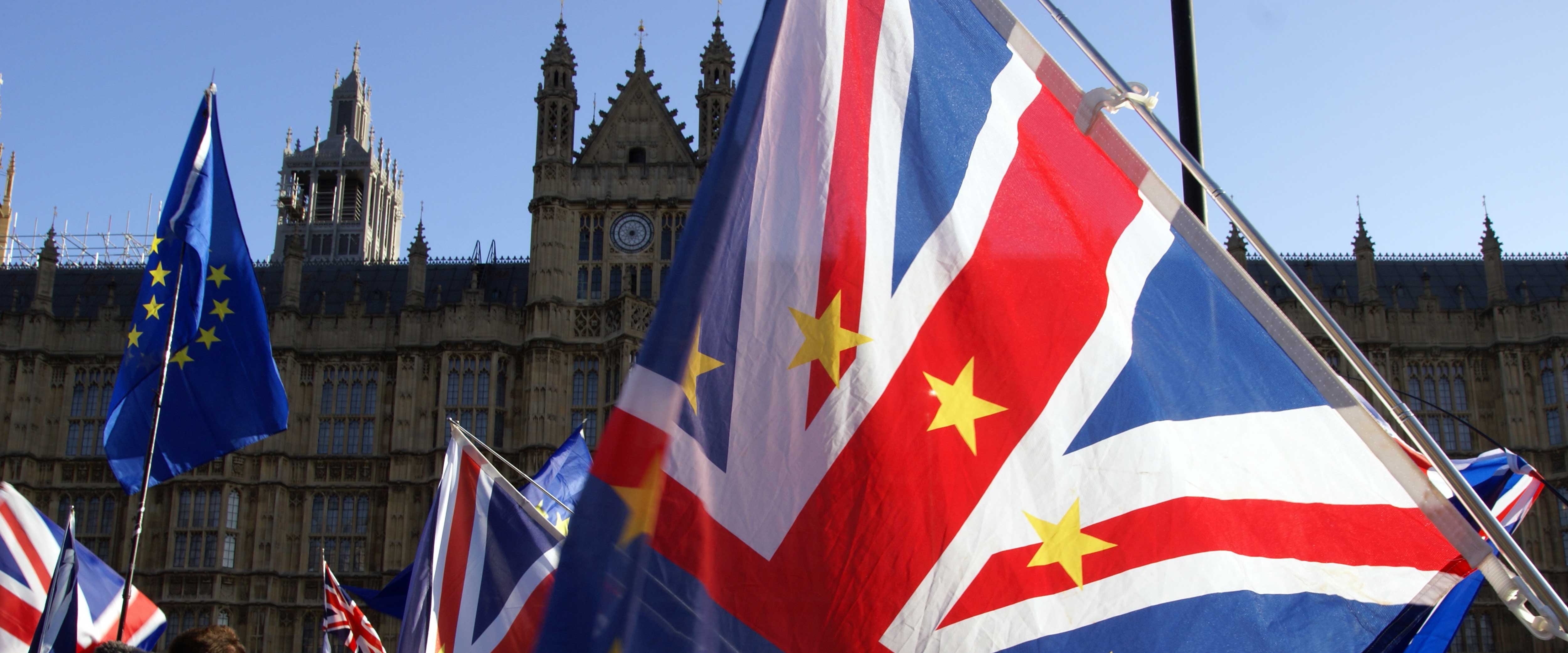 Brexit demonstration flag