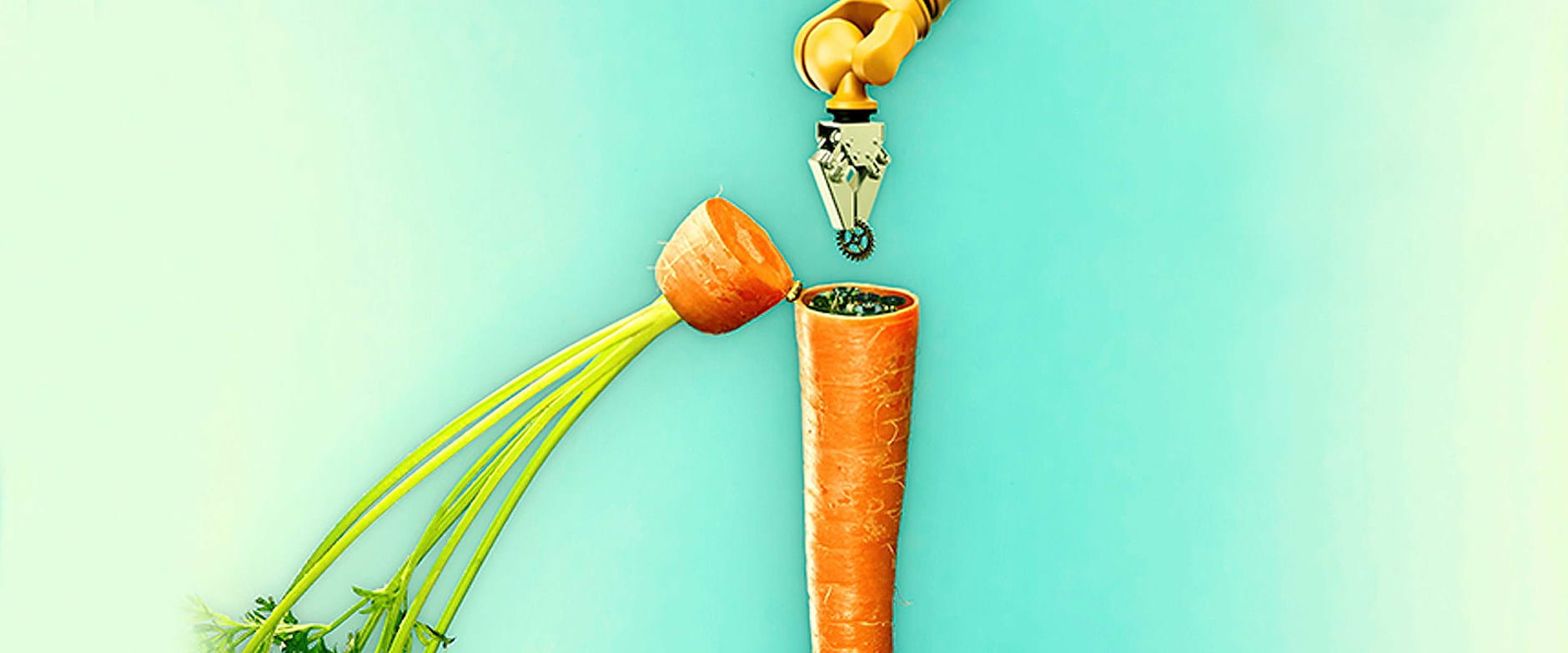 Mechanical arms holding a carrot