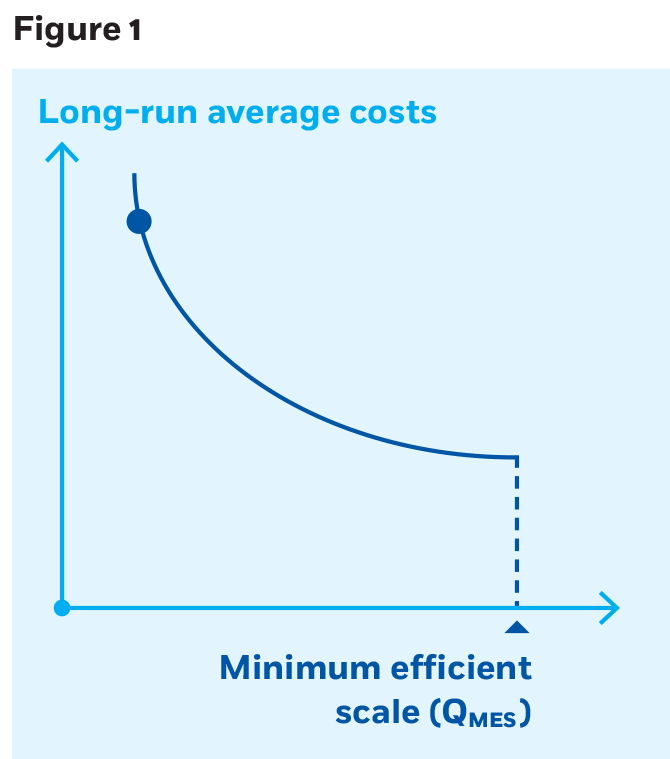 A line-curve diagram with long-run average costs on the y-axis and the company’s scale on the x-axis. The curve starts near the top-left and slopes downward toward the bottom-right, stopping at a point above the x-axis labeled minimum efficient scale.
