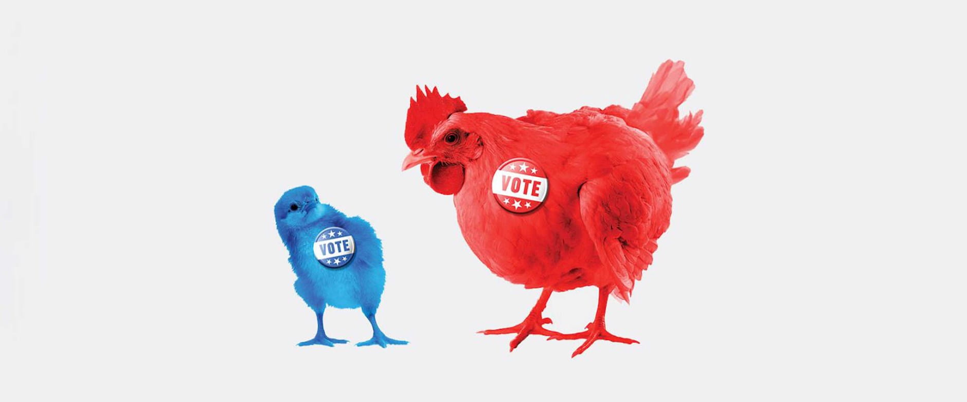 Blue chick with a red chicken wearing buttons that say vote