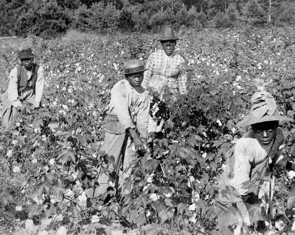 Workers in cotton field