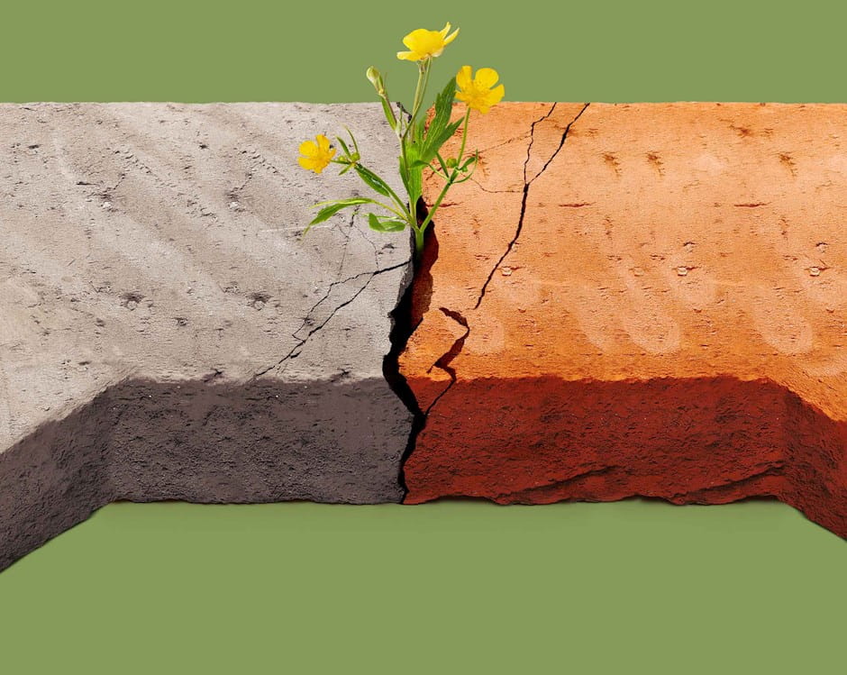 Flowers growing between two stone speech bubbles