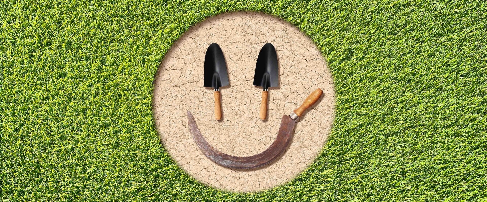 What Rice Farming Can Teach Us about Happiness | Chicago Booth Review