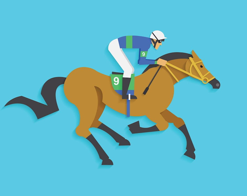 Racehorse with jockey