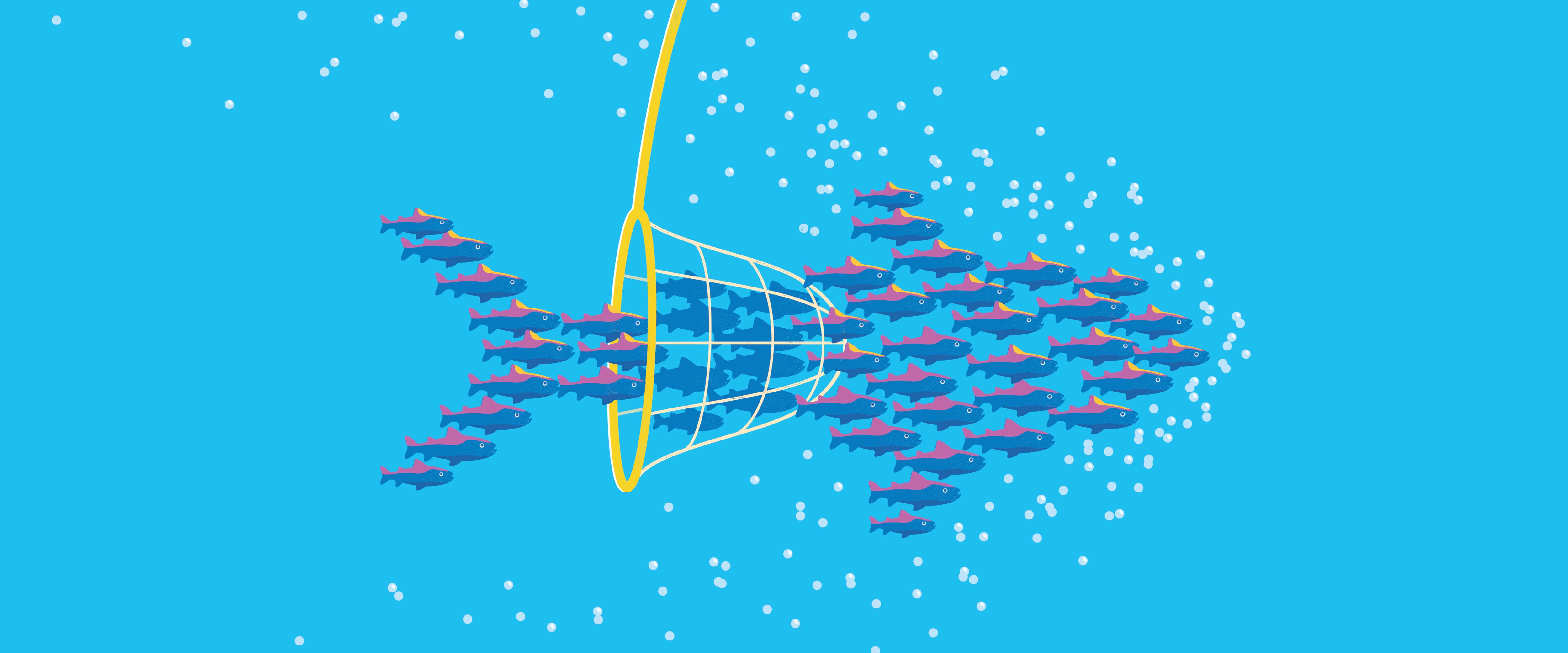 Small fish swimming through holes in net