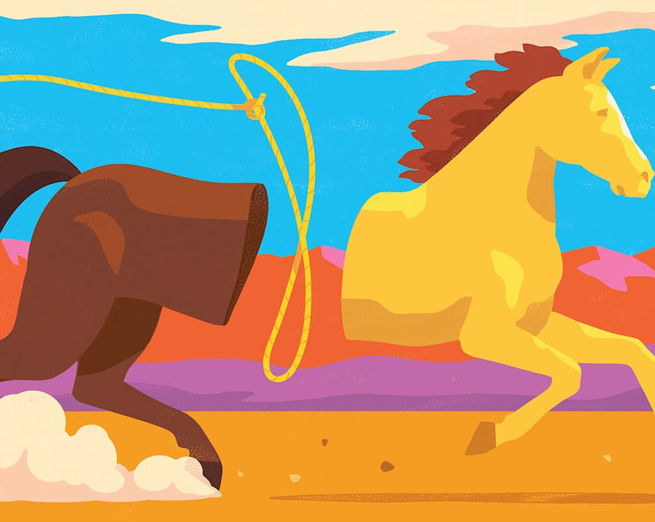 Lasso between two halves of a horse