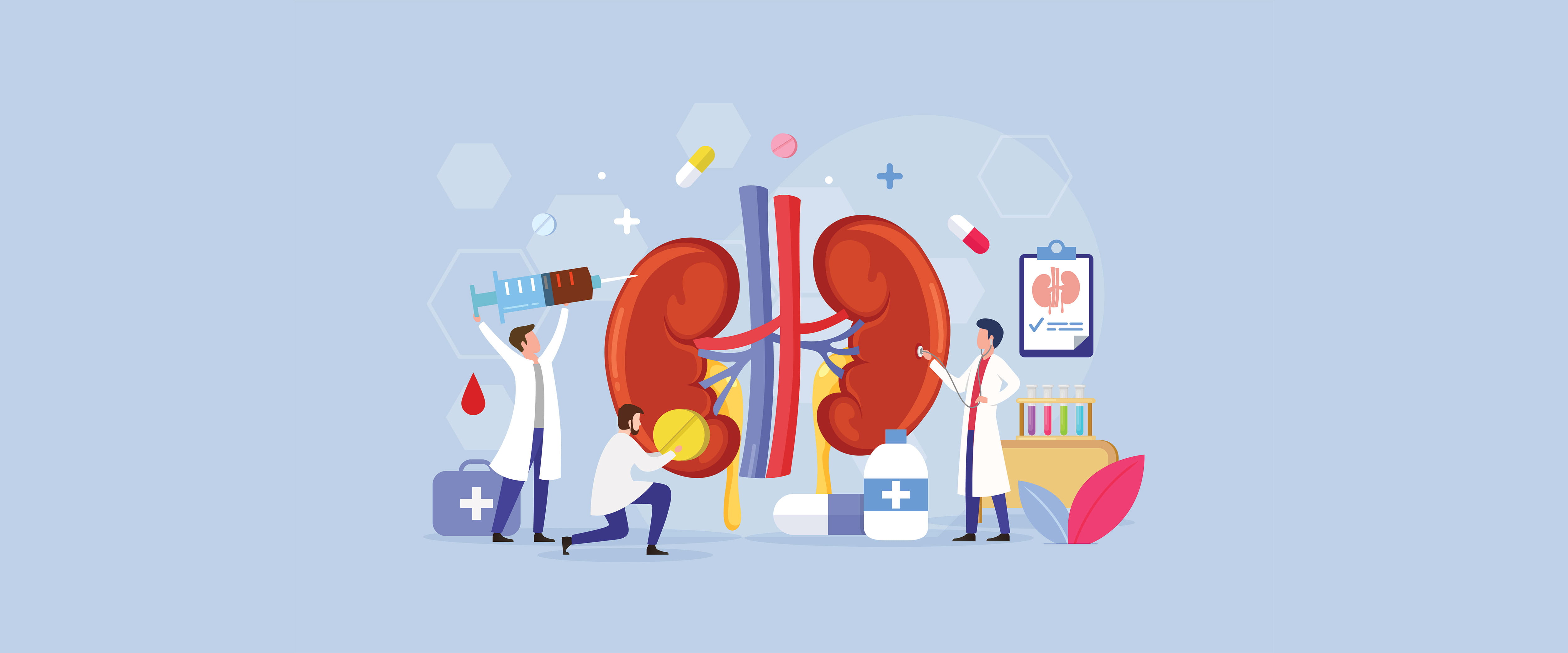 Doctors, kidneys, and medicine