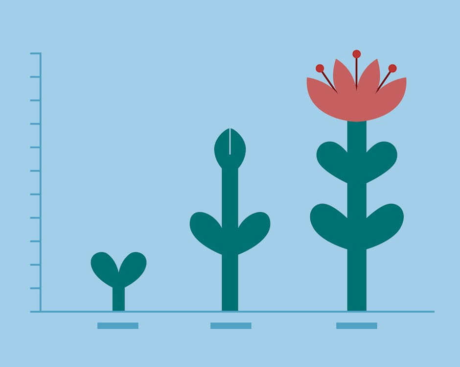 Plant chart