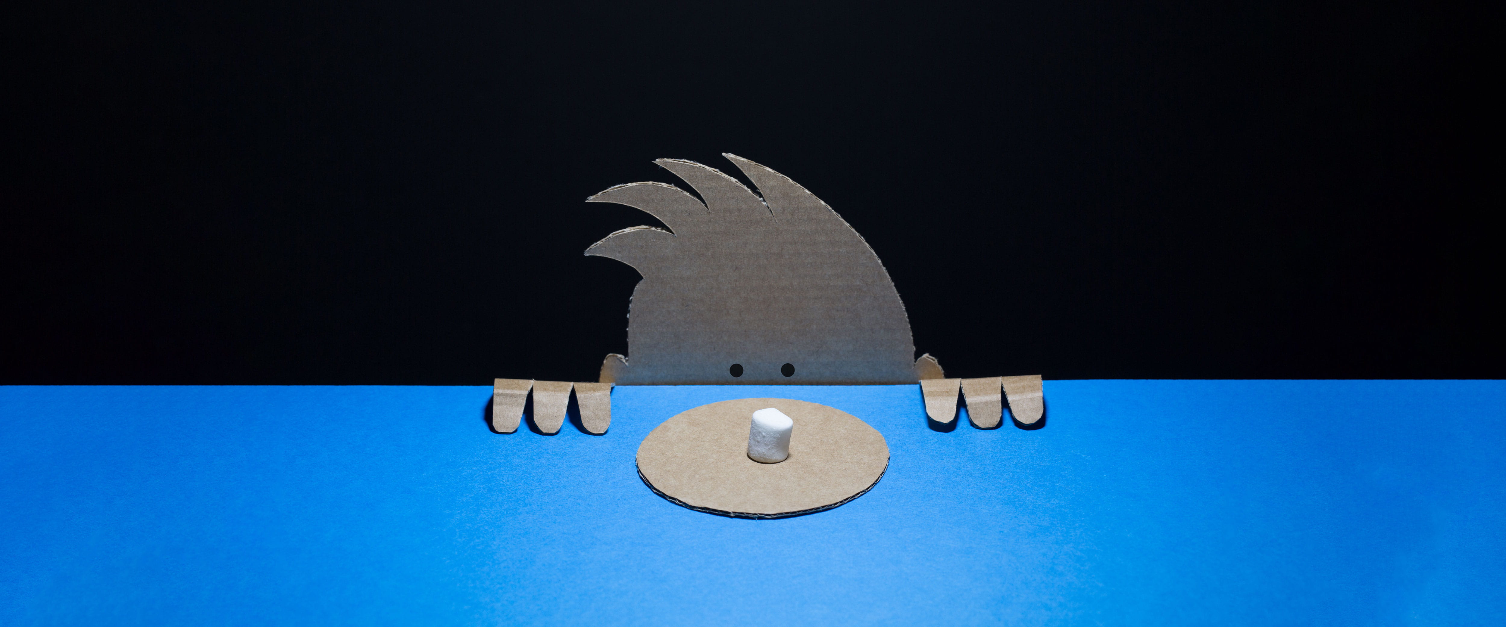 Cardboard child looking at marshmallow