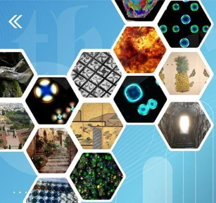 Undergraduate Research Symposium