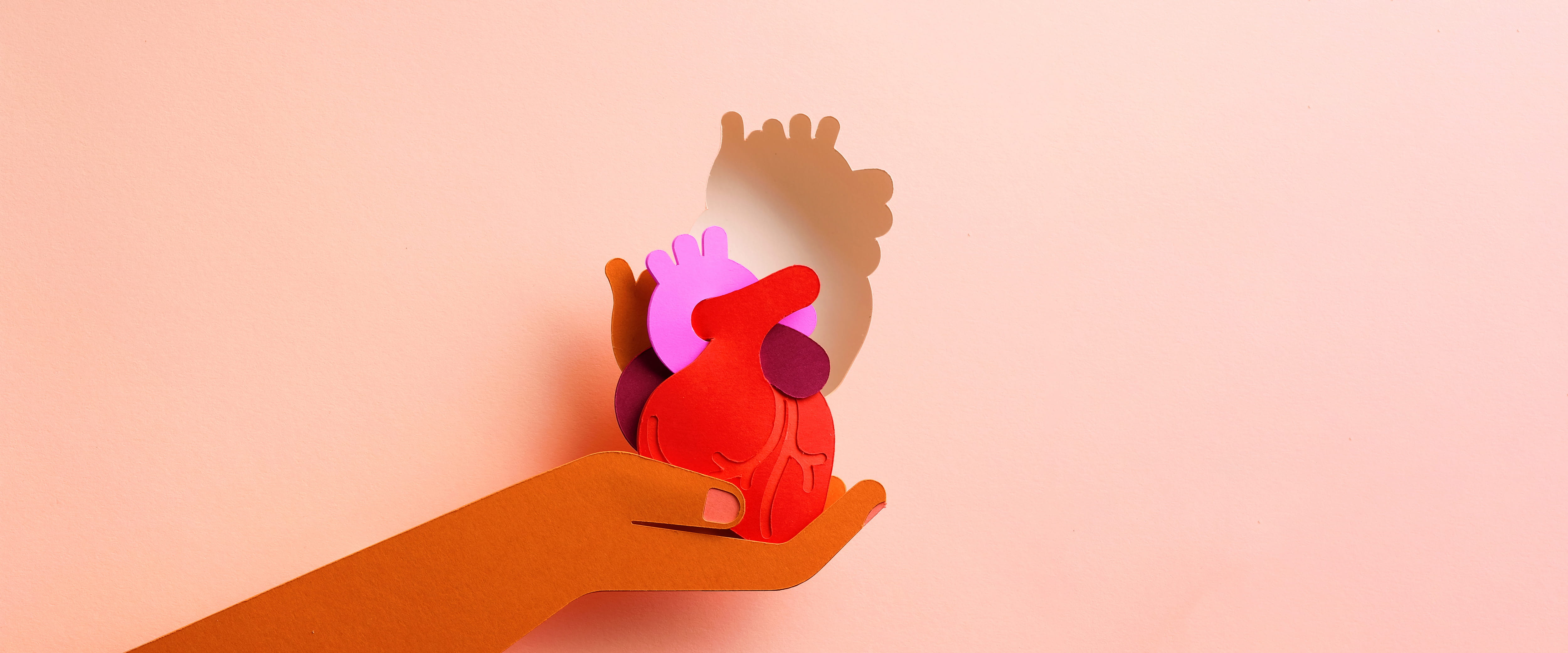 An illustration of a hand holding a heart.