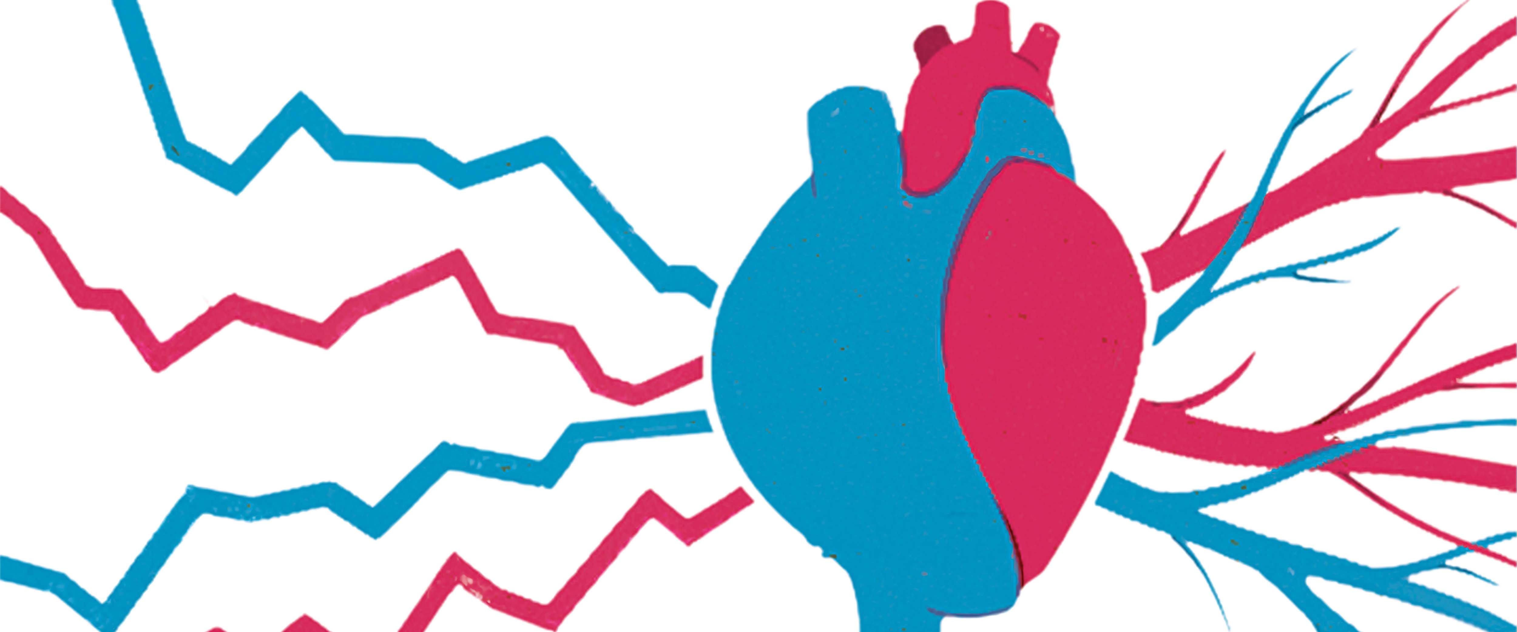 A blue and red graphic of a human heart. On one side are more typical-looking veins and on the other line graphs enter the heart.
