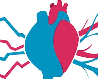 A blue and red graphic of a human heart. On one side are more typical-looking veins and on the other line graphs enter the heart.