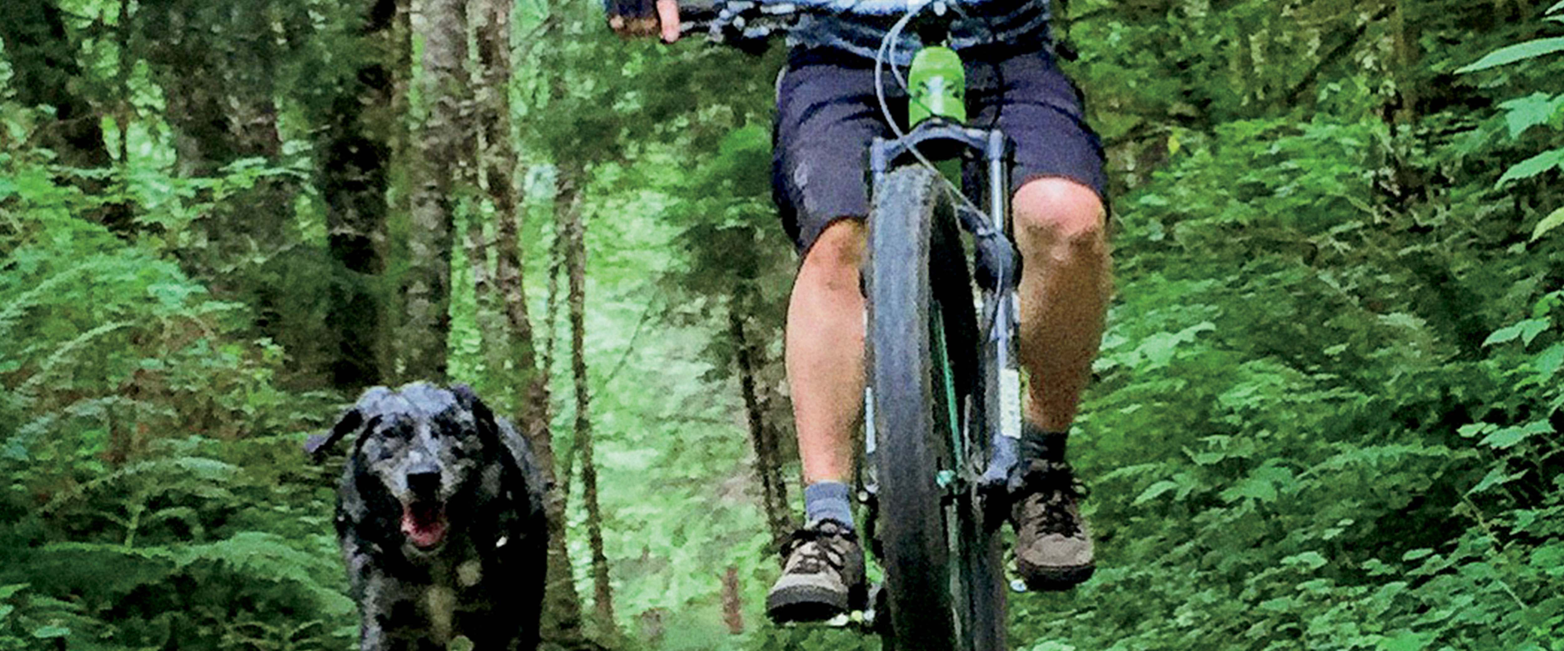 Sue Long going mountain biking in the woods