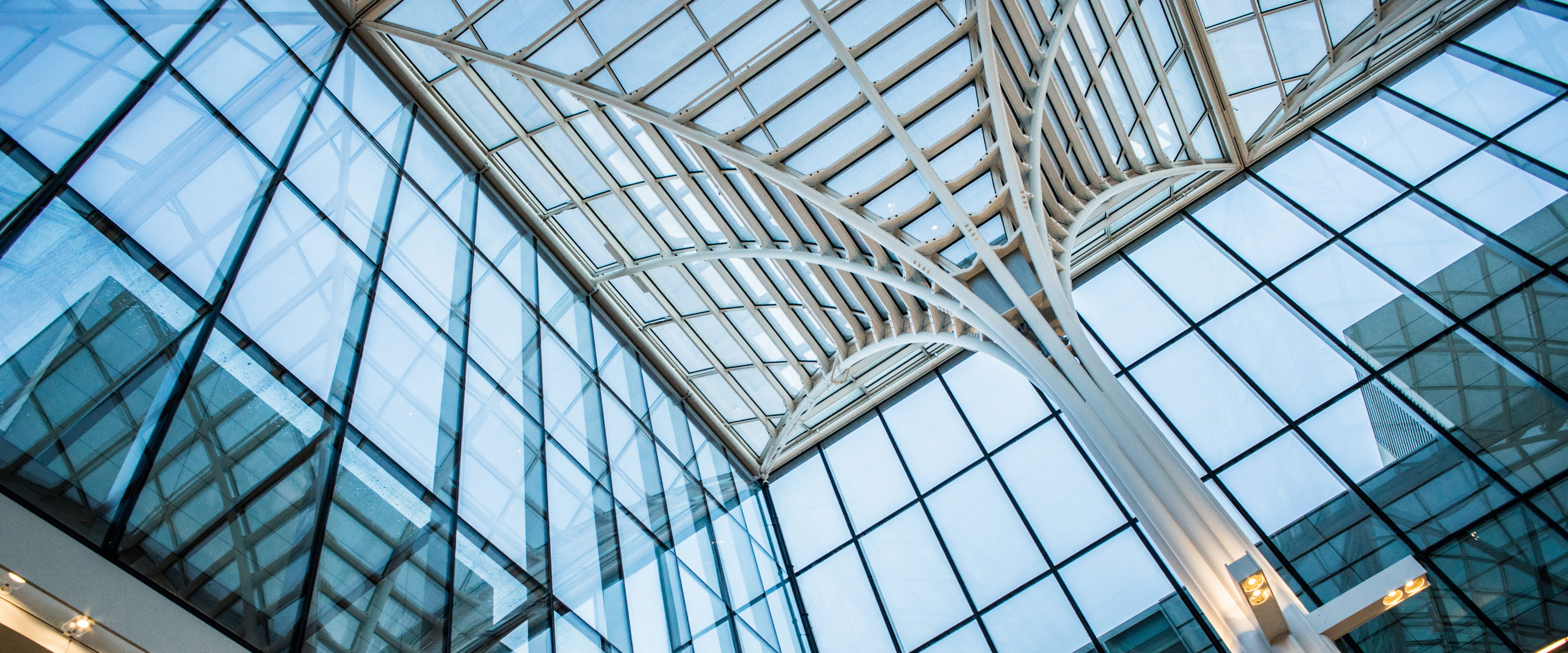 Chicago Booth School of Business Harper Center Winter Garden 