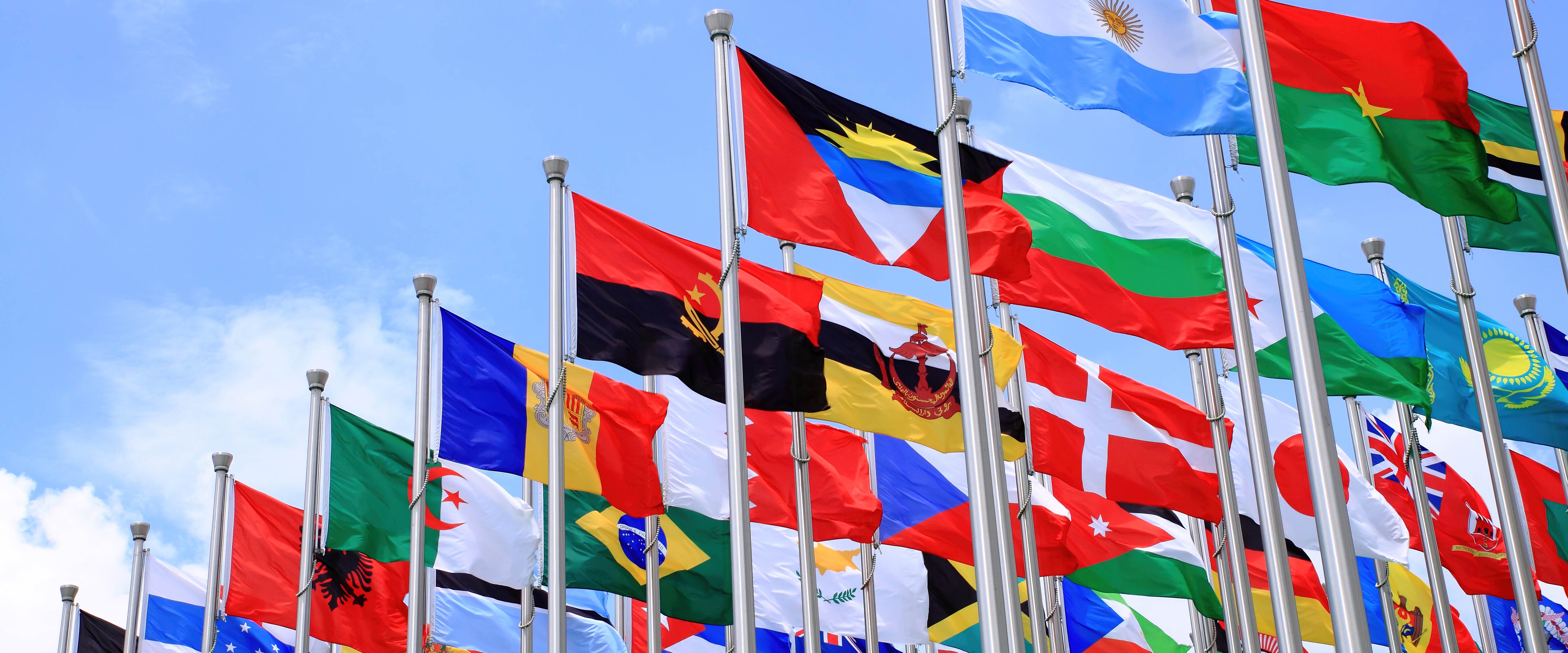 Cluster of many different nations' flags against a blue sky