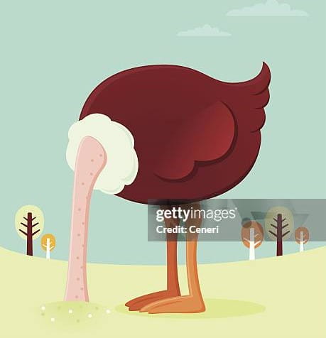 Illustrated photo of brown, white-necked ostritch sticking its head in yellow sand. 