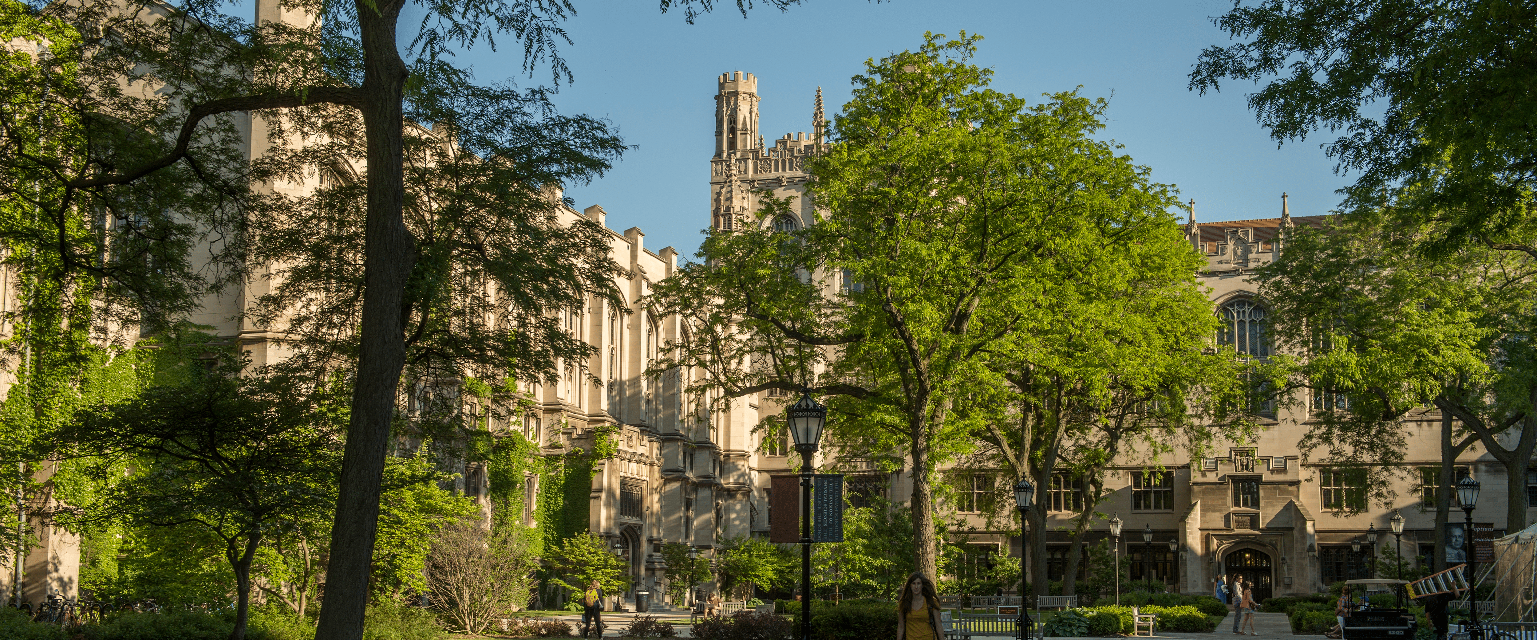 A picture of the Univeristy of Chicago Campus on a sunny day.