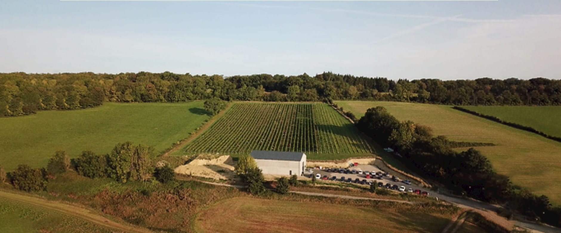 The Vin du Pays de Herve vineyard in east Belgium