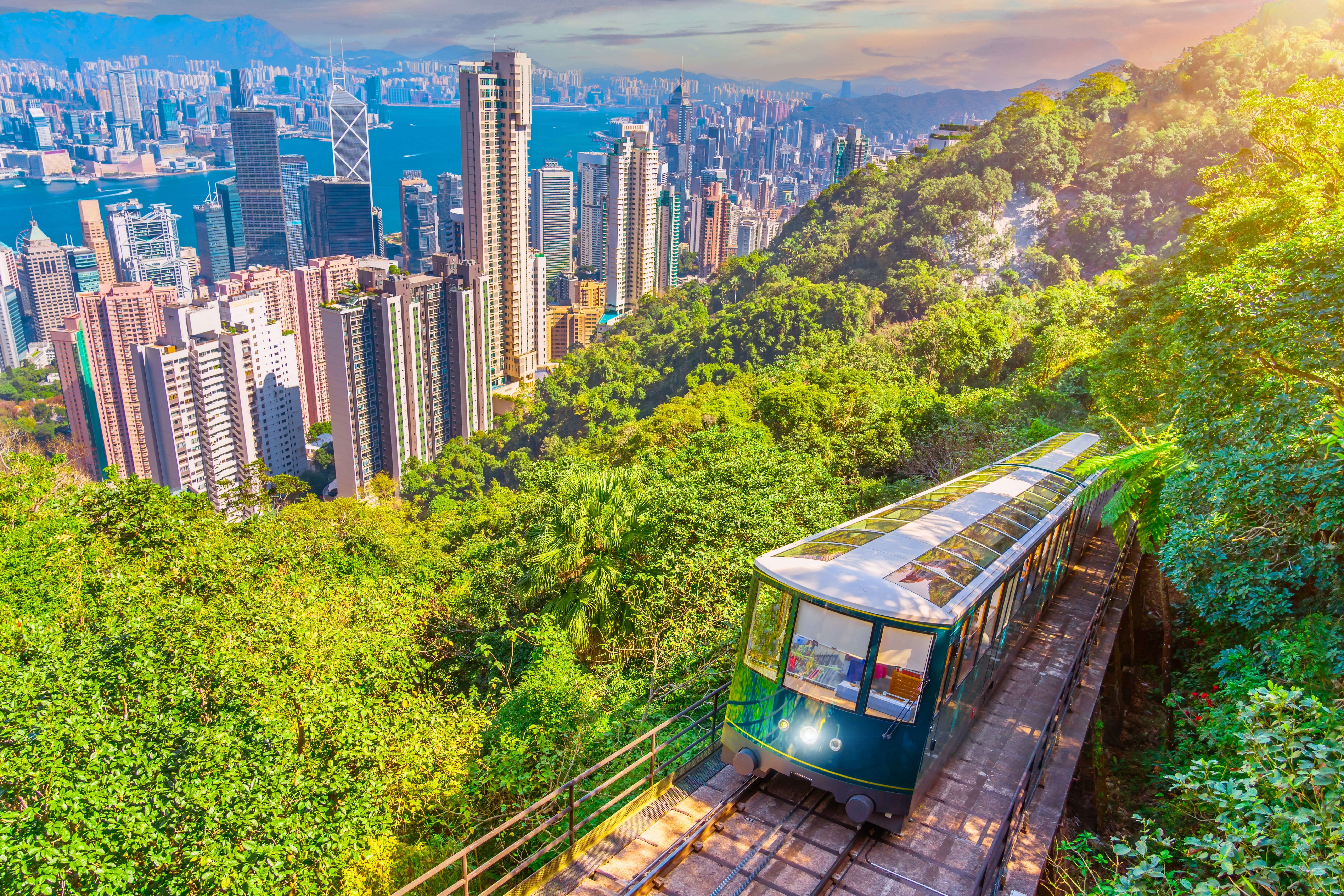 A train in a forest next to the skyline.