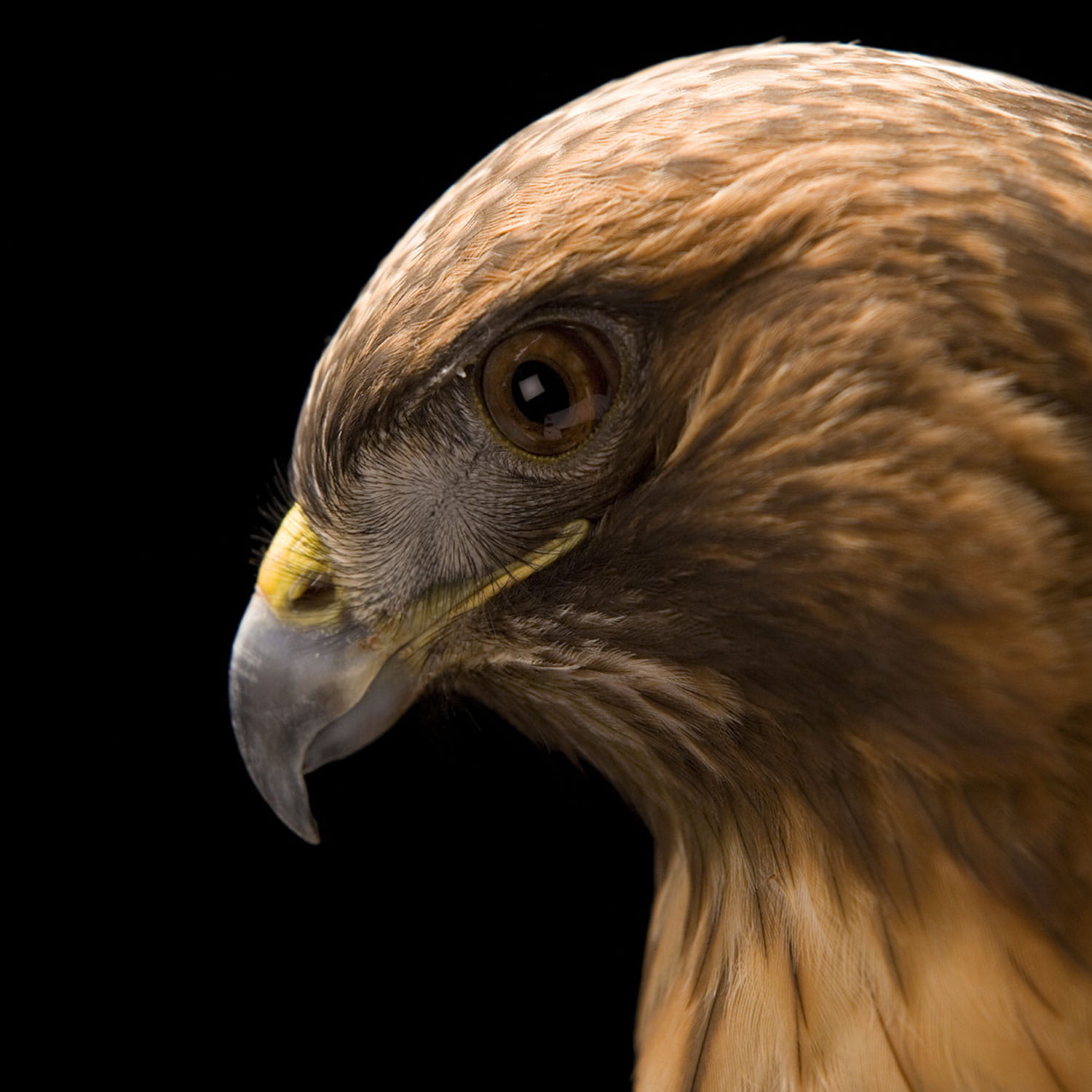 Chicago Booth Magazine The University Of Chicago Booth